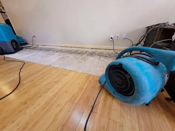 Professional Water Removal technician working in Jefferson, LA